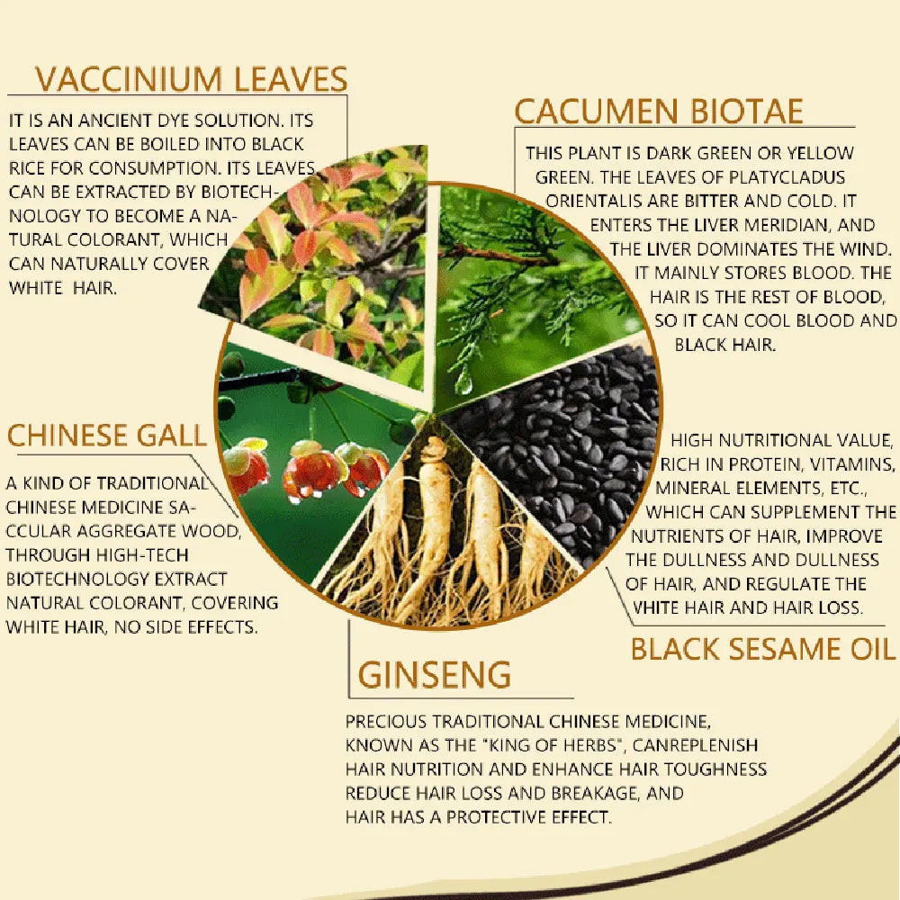 Beverly's Botanical Black Hair Color Shampoo